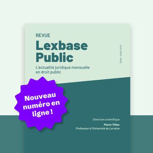 Photo de l'article : 9 septembre 2026 - Publication de la Chronique de droit international public à la Revue Lexbase Public